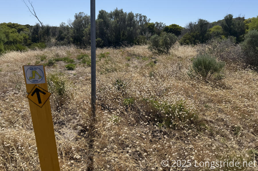 There’s a trail here somewhere…