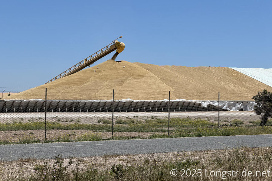 Grain Receiving at Port Giles
