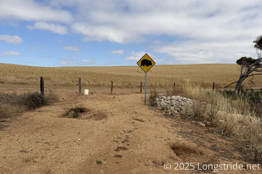 Wombat Tunnels