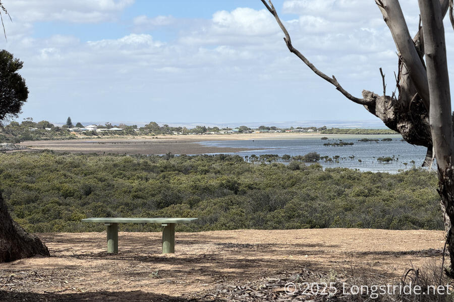 Bench With A View