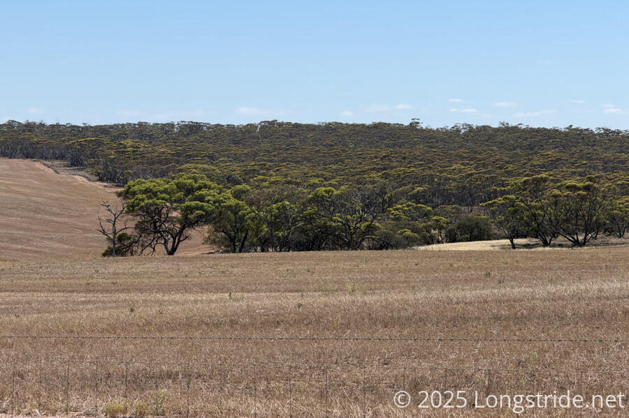 Farmland and Native Forest