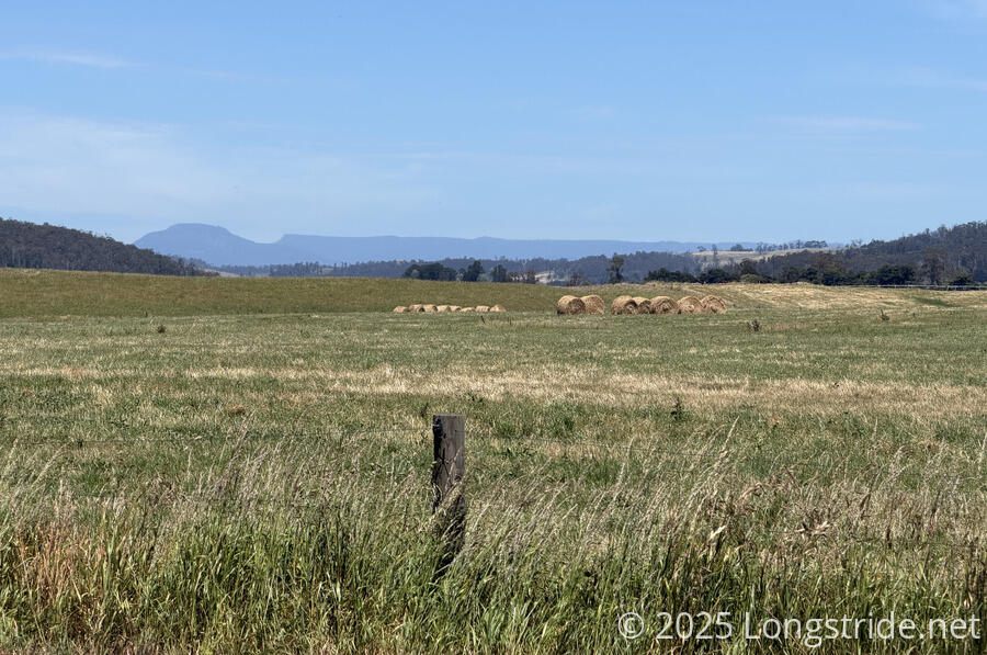 Field and Mountains