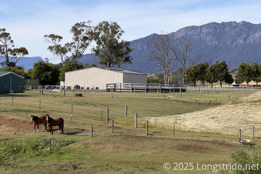 Two Horses Pose in Front of Mount Roland