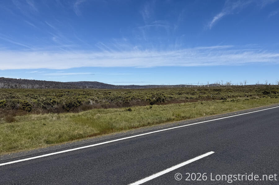 Bush Along the Highway