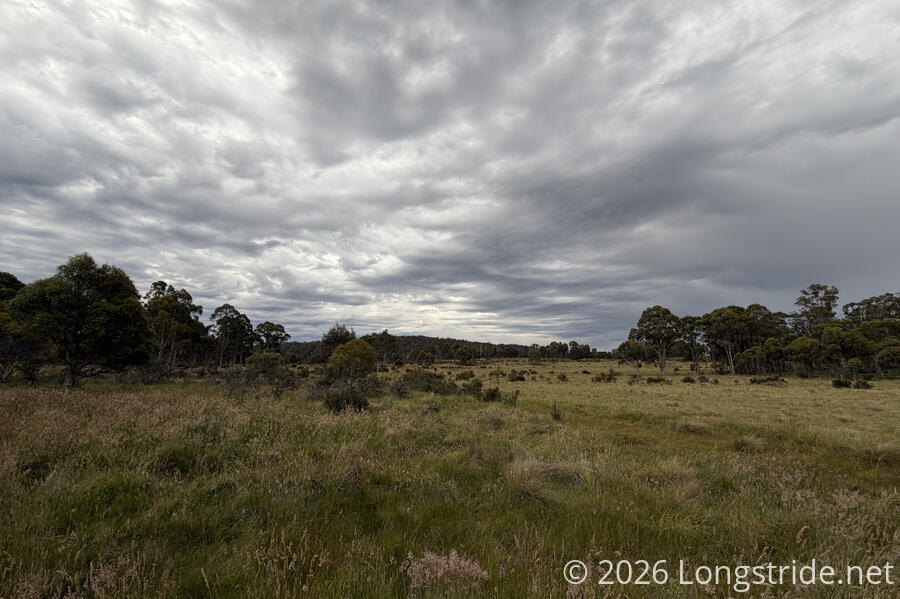 Dark Clouds Blowing In