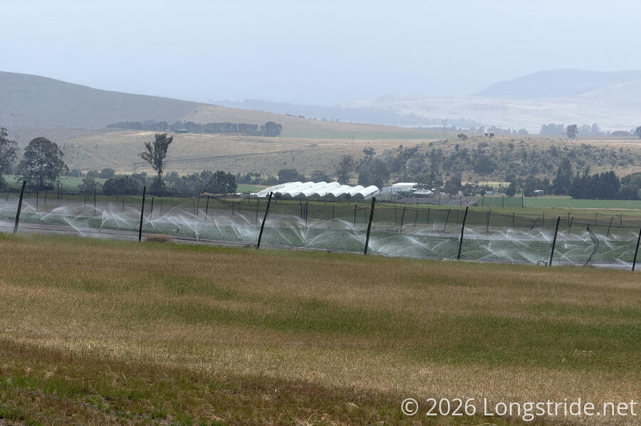Sprinklers on a Field