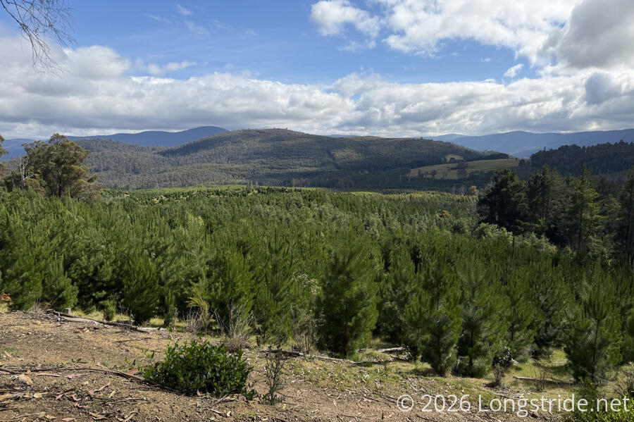 Plantations and Farmland
