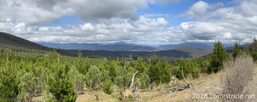 Southwestern Mountains