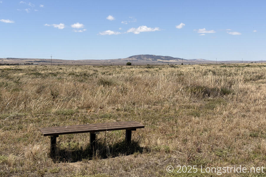 A Bench Along the Trail