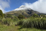 Taranaki from the Visitor Centre