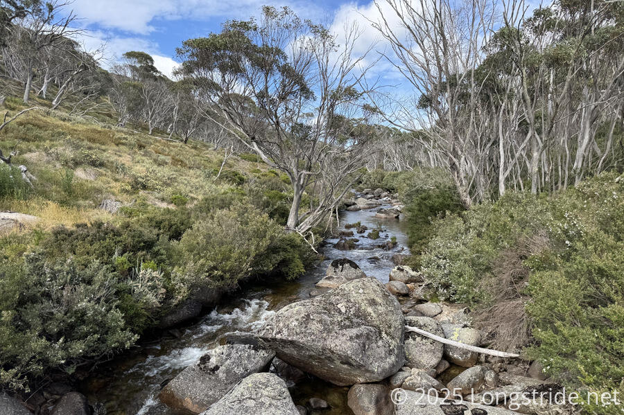 Thredbo River