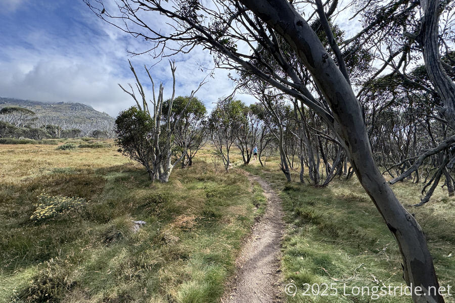 Dead Horse Gap Track