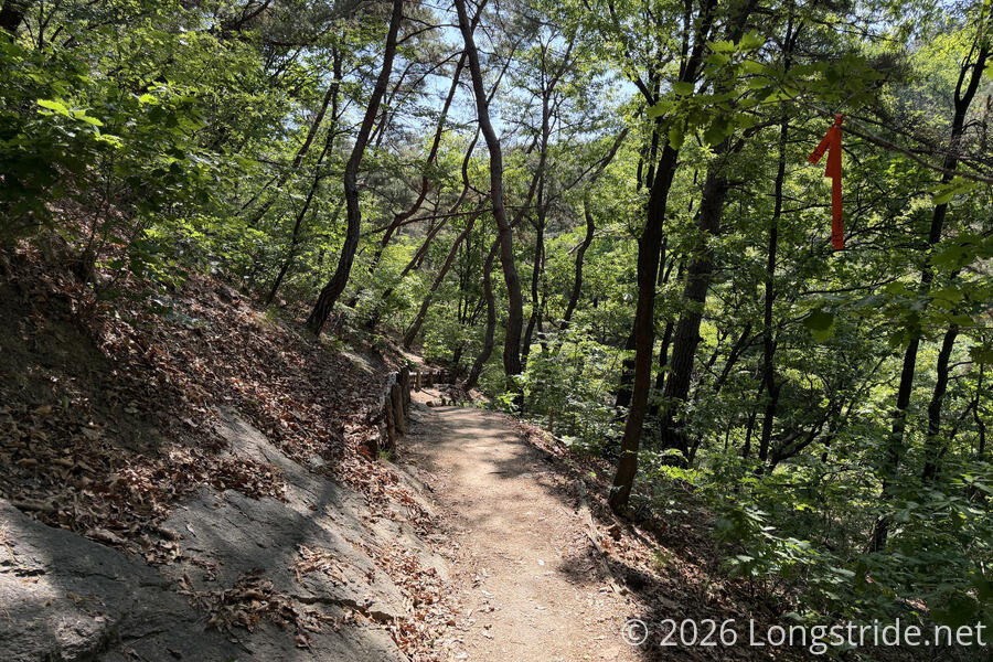 Trail