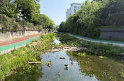 Mukdongcheon Stream