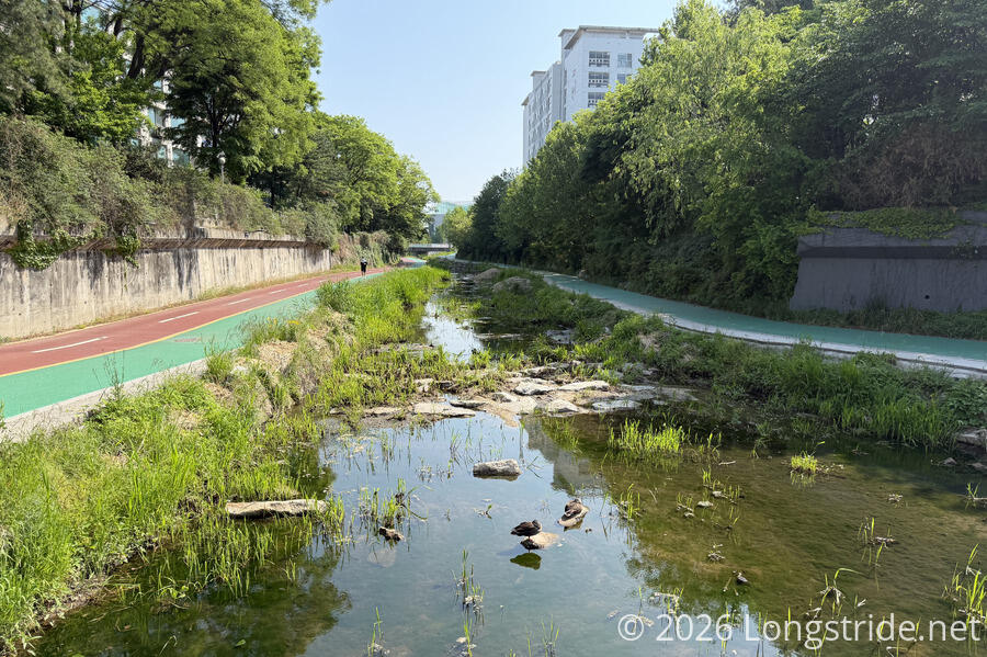 Mukdongcheon Stream