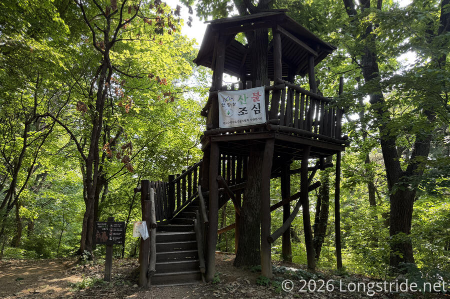 Treehouse