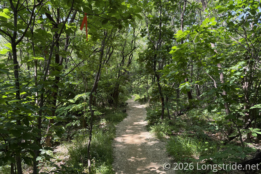 Trail on Iljasan Mountain