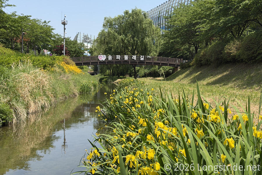 Jangjicheon River