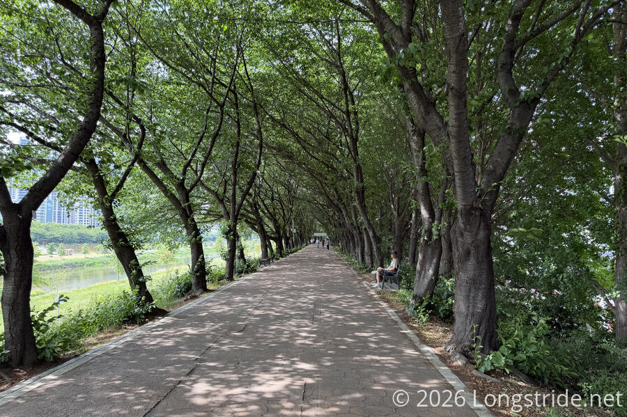 Anyangcheon Stream