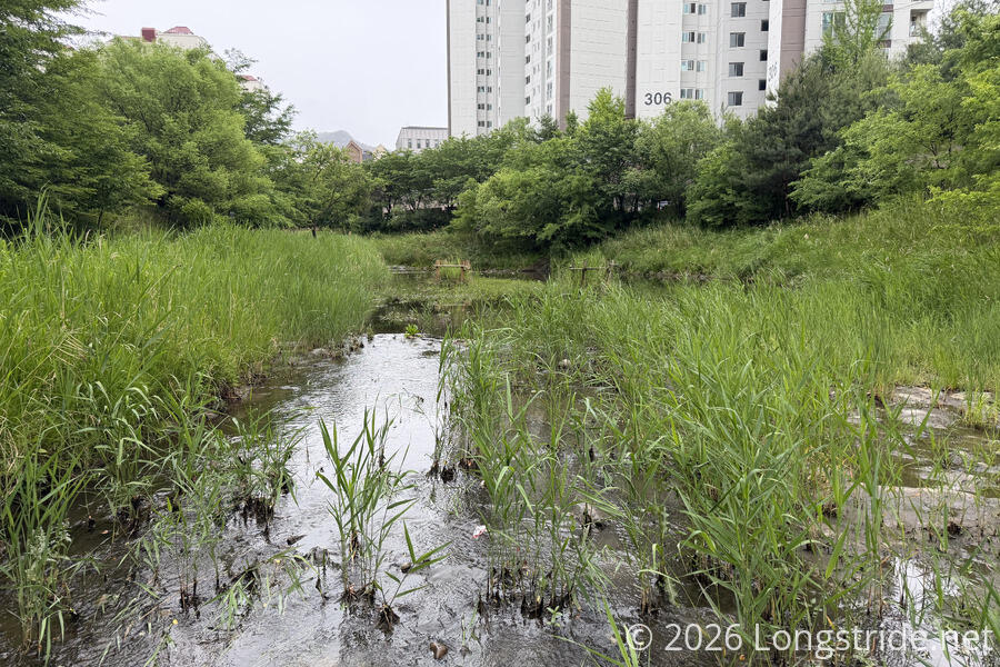 Jinpannae Stream