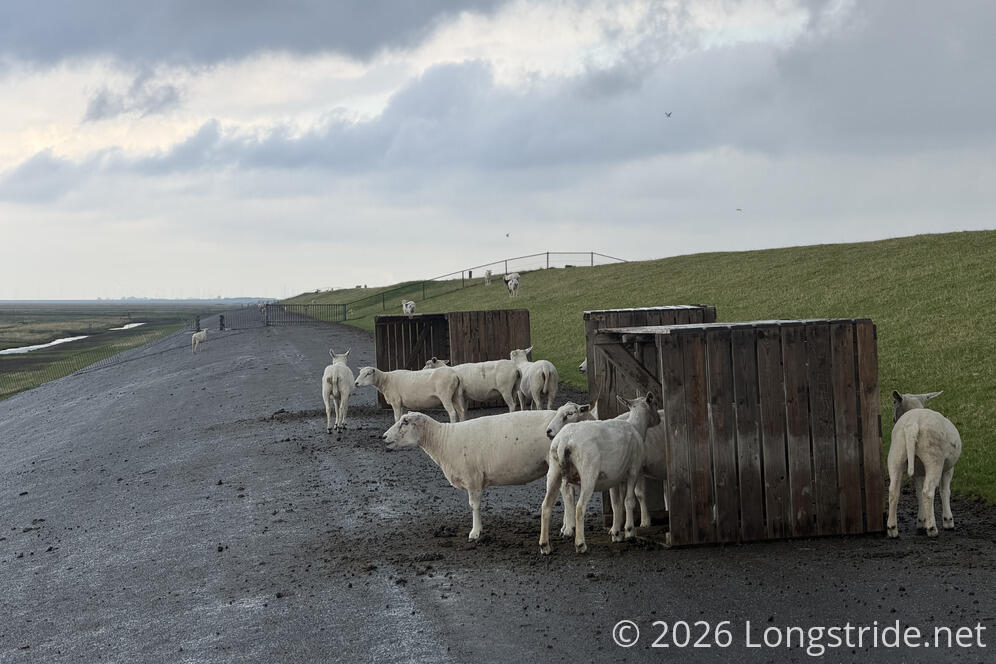 Sheep Shacks