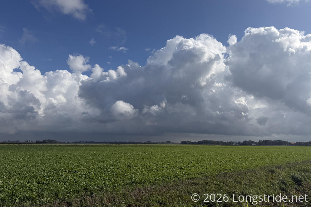 Dark Clouds Over a Field