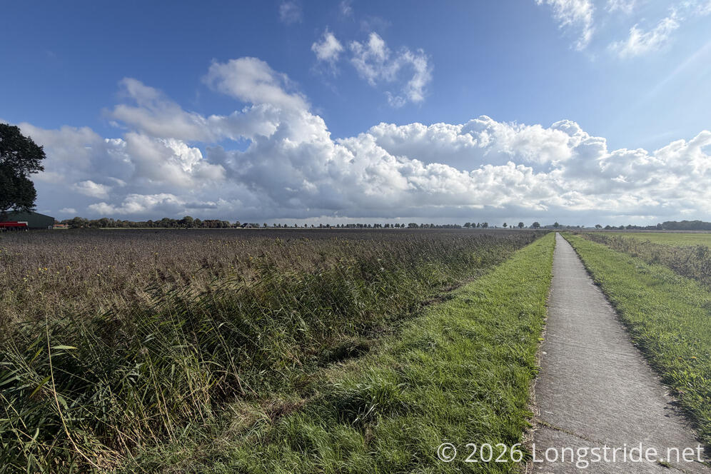 Concrete Path