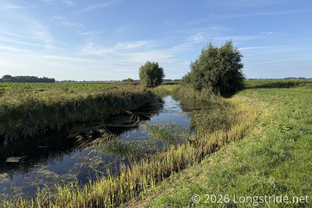 Fields and Canals