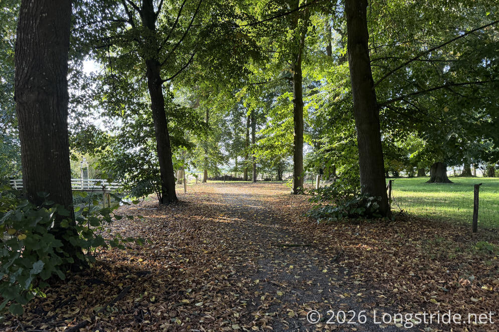 A Leaf-Lined Path