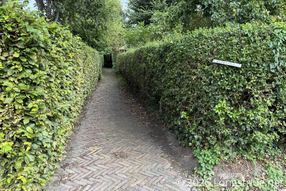 Hedge-lined Trail in Winsum