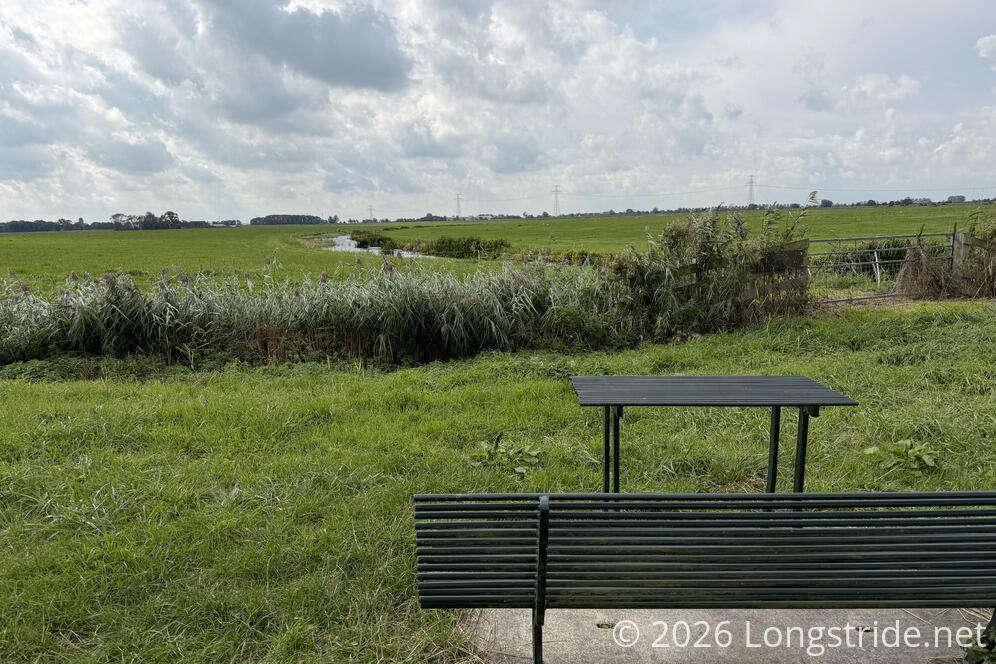Bench With a View