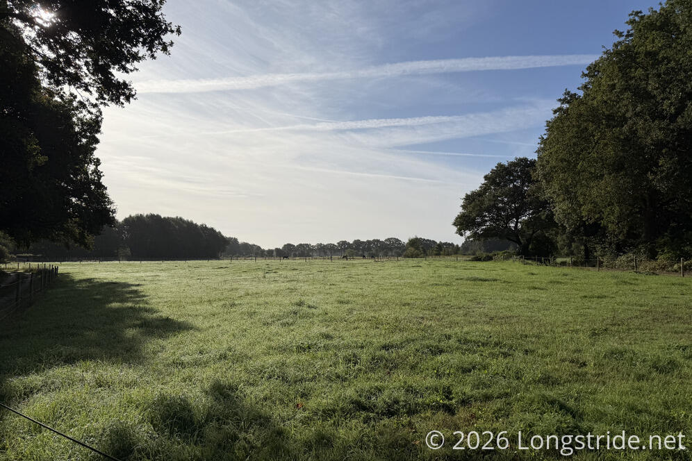 Horse Pasture