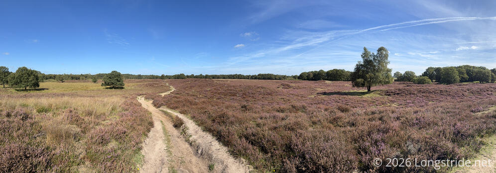 Heathlands