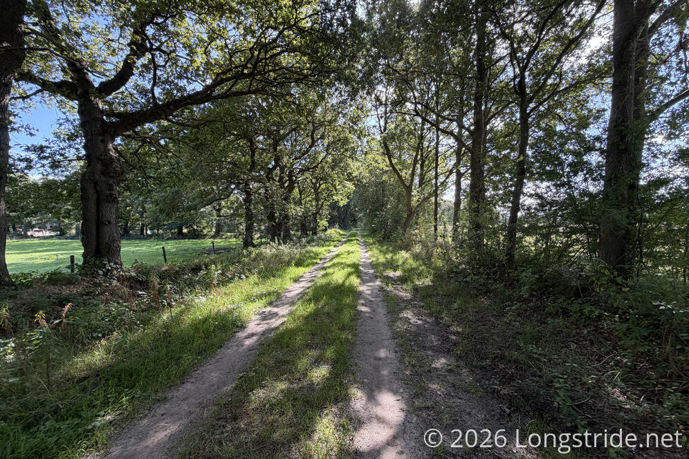 A Sandy Trail Between Two Farms