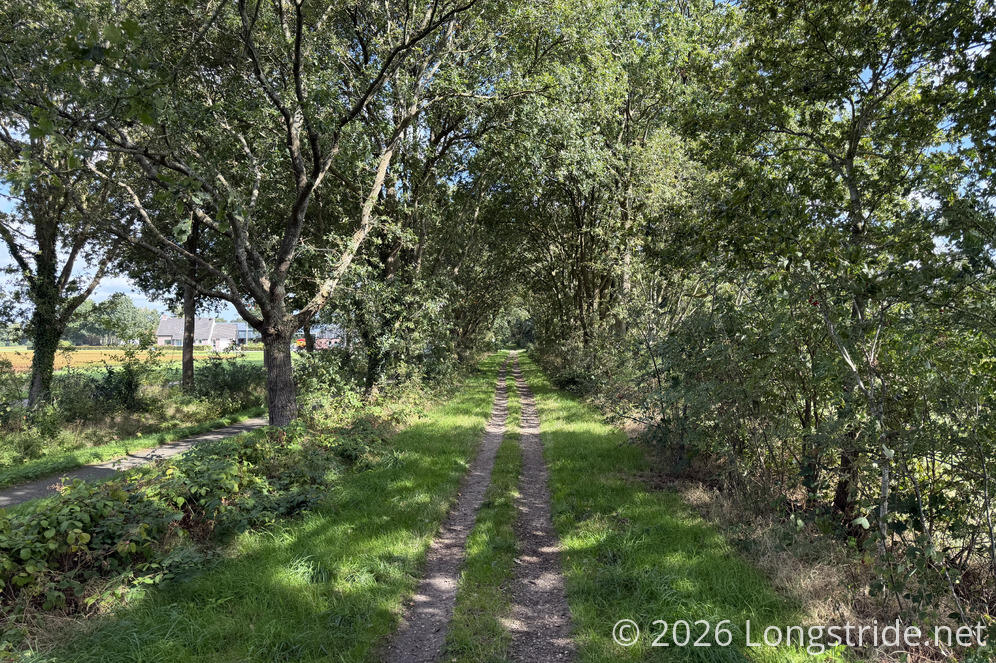 Cyclepath exiting Rolde