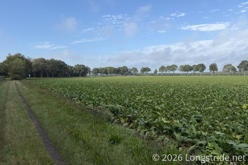 Farmland