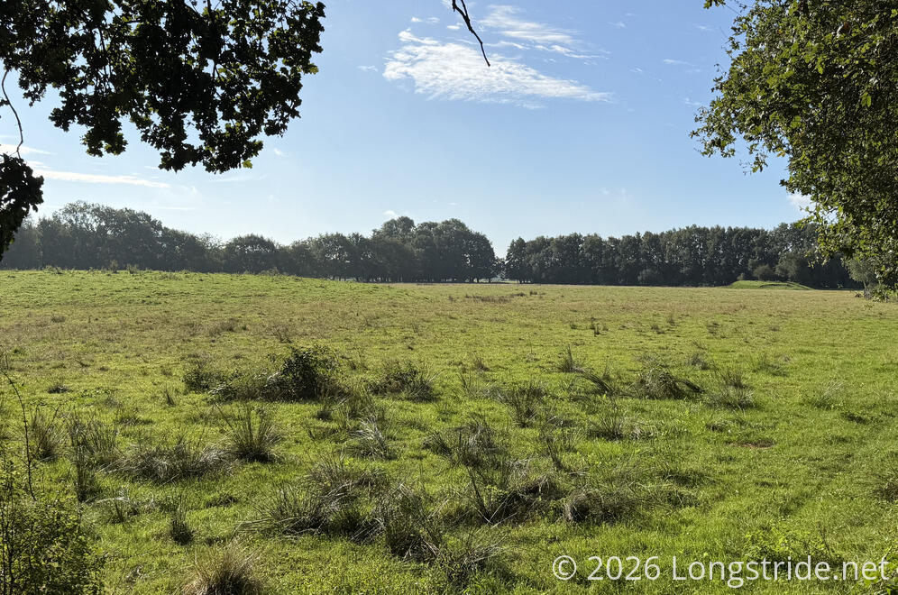 Fallow Field
