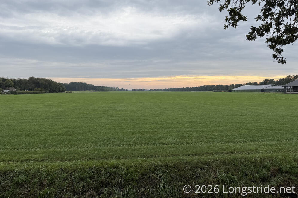 Morning Fields