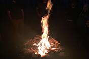 Roaring Campfire
