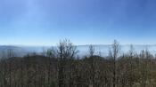 View from Rich Mountain Lookout Tower