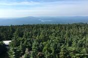 View from Stratton Mountain Fire Tower