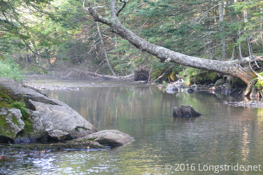 Lost Pond Trail Stream