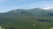 The Presidentials
