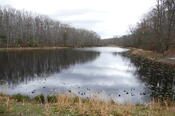 Cedarville Pond