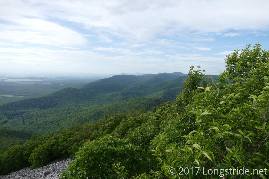 View North from Turk Mountain