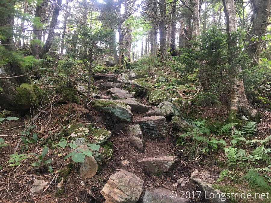 Rocky Trail to Styles Peak