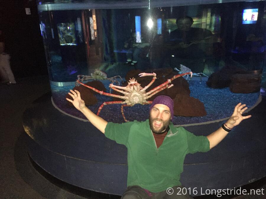A Crab as Big as my Head