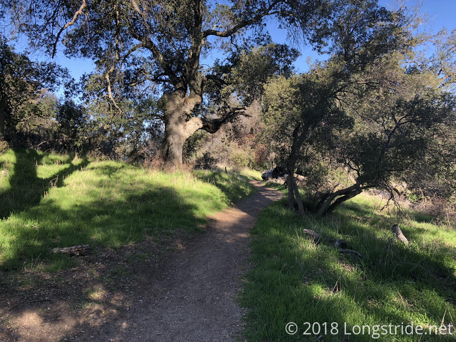 Tree-Lined Trail to Warner Springs