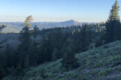 Sierra Butte in the Morning